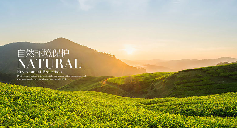 动漫无尽——久久ee热这里只有精品，探索二次元的无限魅力与深远影响